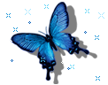 427346_2010421124611.gif