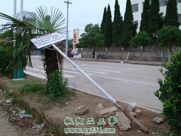 DSC08144_副本.jpg