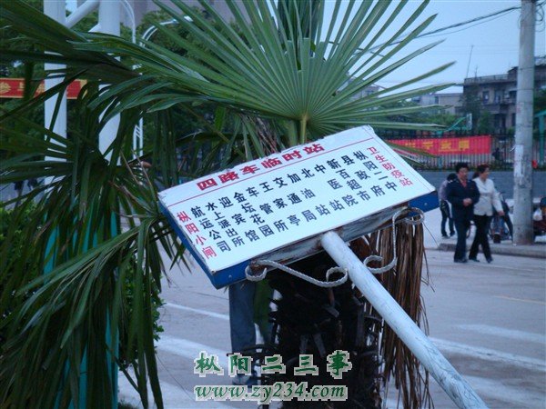 DSC08146_副本.jpg