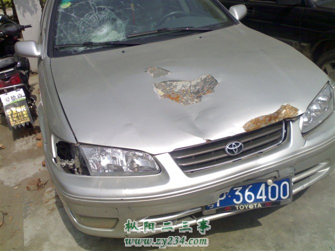 yi979.jpg