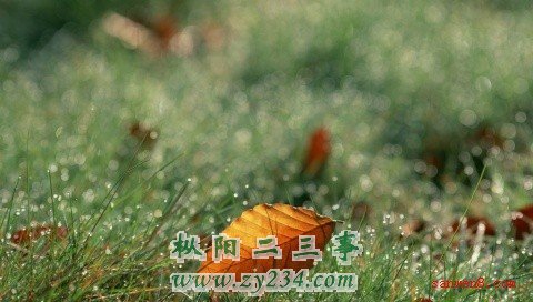 2010012102312146.jpg