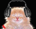 未命名.gif