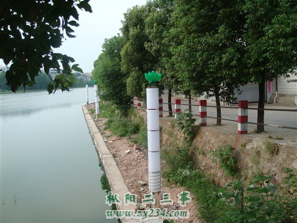 DSC08903_副本.jpg