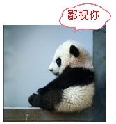未命名.jpg