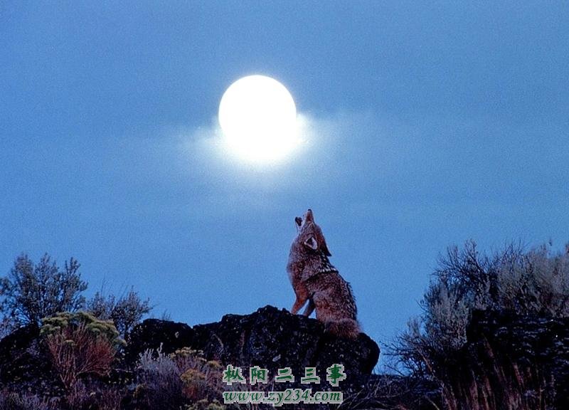 7_副本.jpg