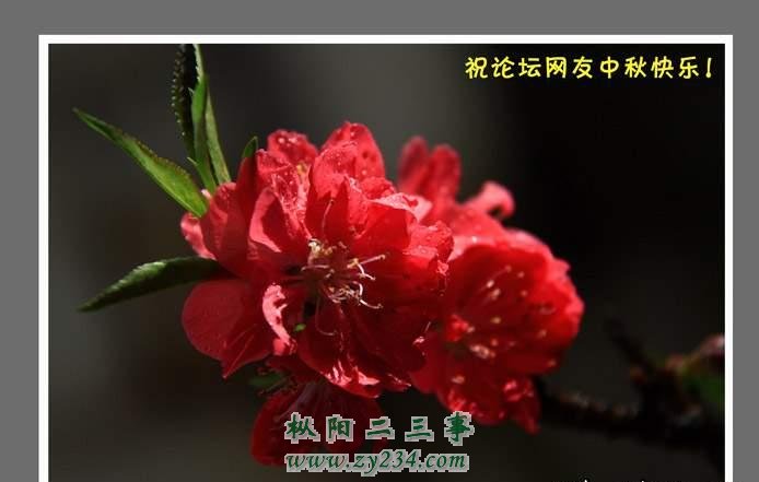 1009181957f7aed6cc7933168d.jpg