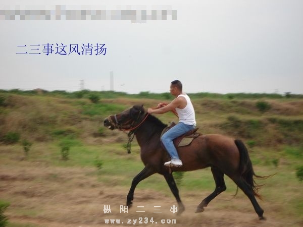 200871521465478212_副本.jpg