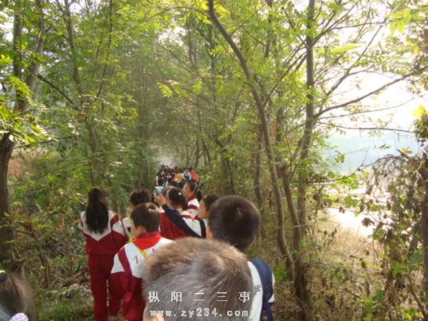 DSC02456.JPG