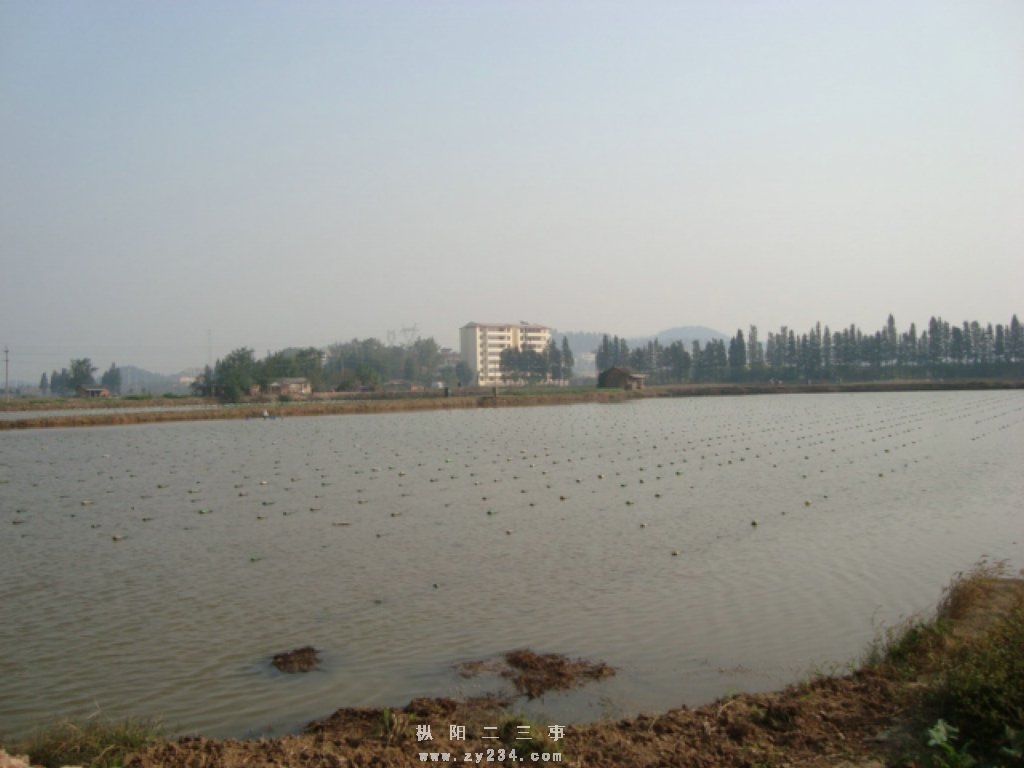 DSC02412.JPG