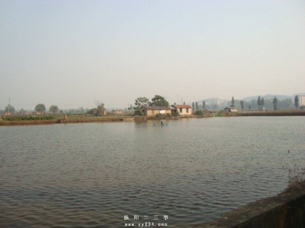 DSC02409.JPG