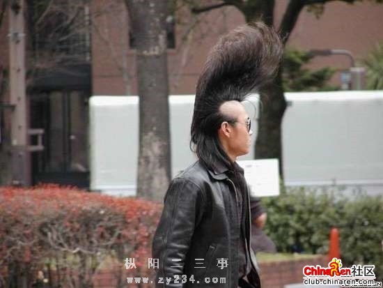 男人花，揺弋在红尘中。。。