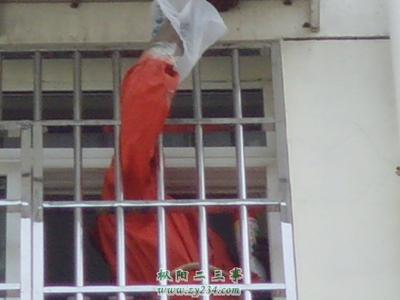 SNV39604.JPG