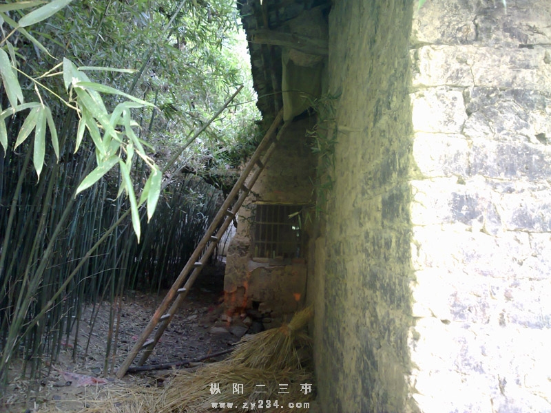 20101026009.jpg