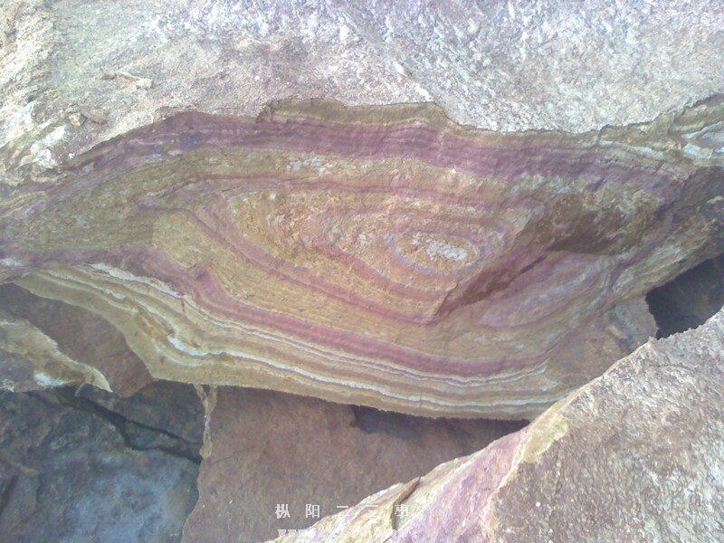 IMG1120070300.jpg