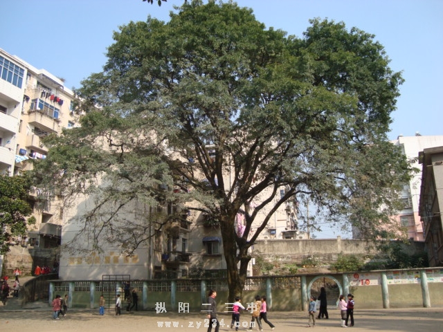 DSC02461.JPG