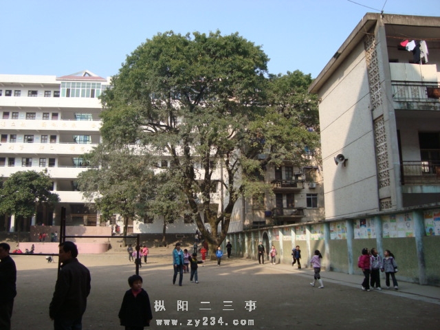 DSC02458.JPG