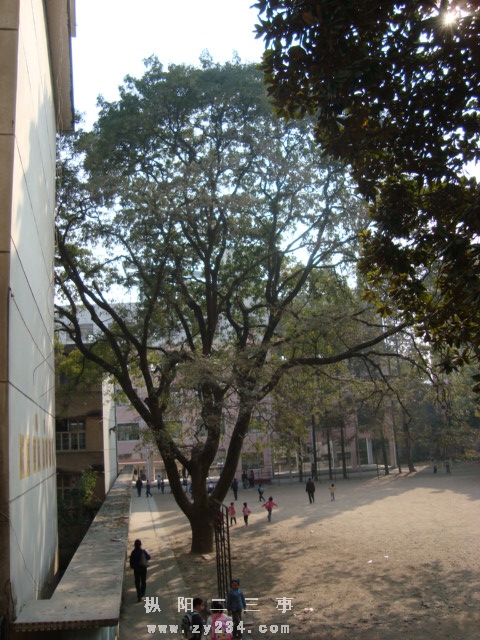 DSC02465.JPG