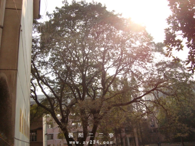 DSC02466.JPG