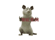 ]09Z$_UF(R`SM)P~K`@5NKD.gif