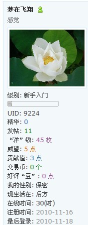 看清梦在飞翔注册时间