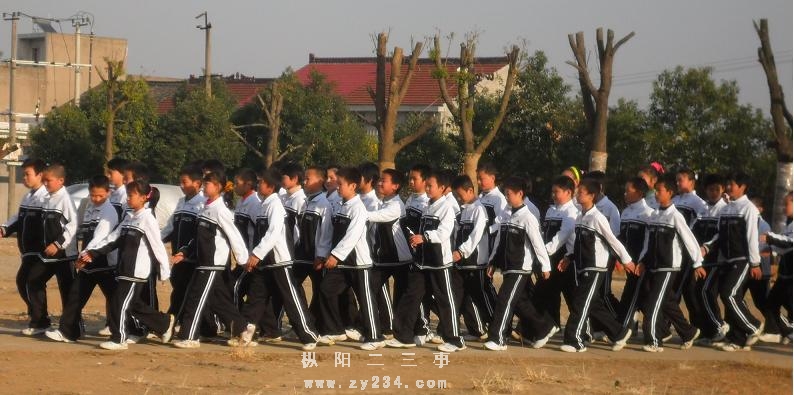 1.JPG