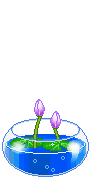 189804_5336509_51.gif