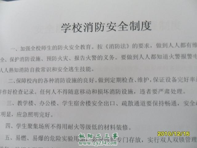 SAM_0452.JPG