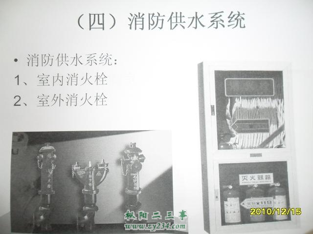 SAM_0439.JPG