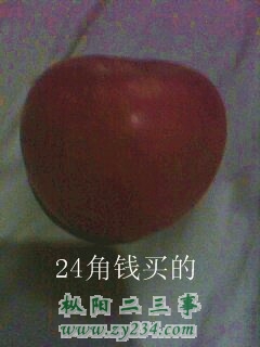 111.jpg