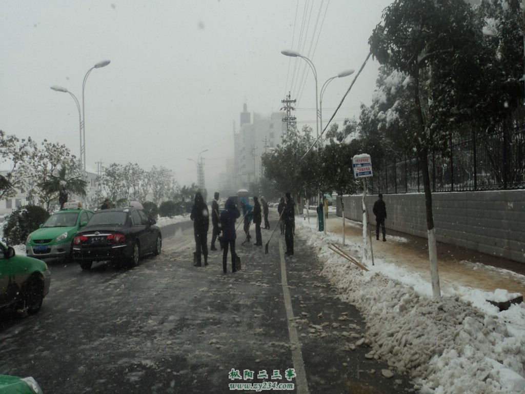 DSC00775.jpg