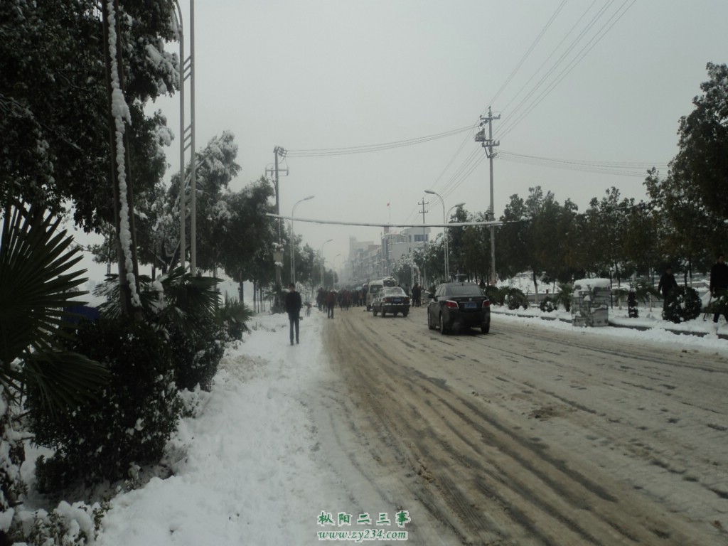 DSC00763.jpg