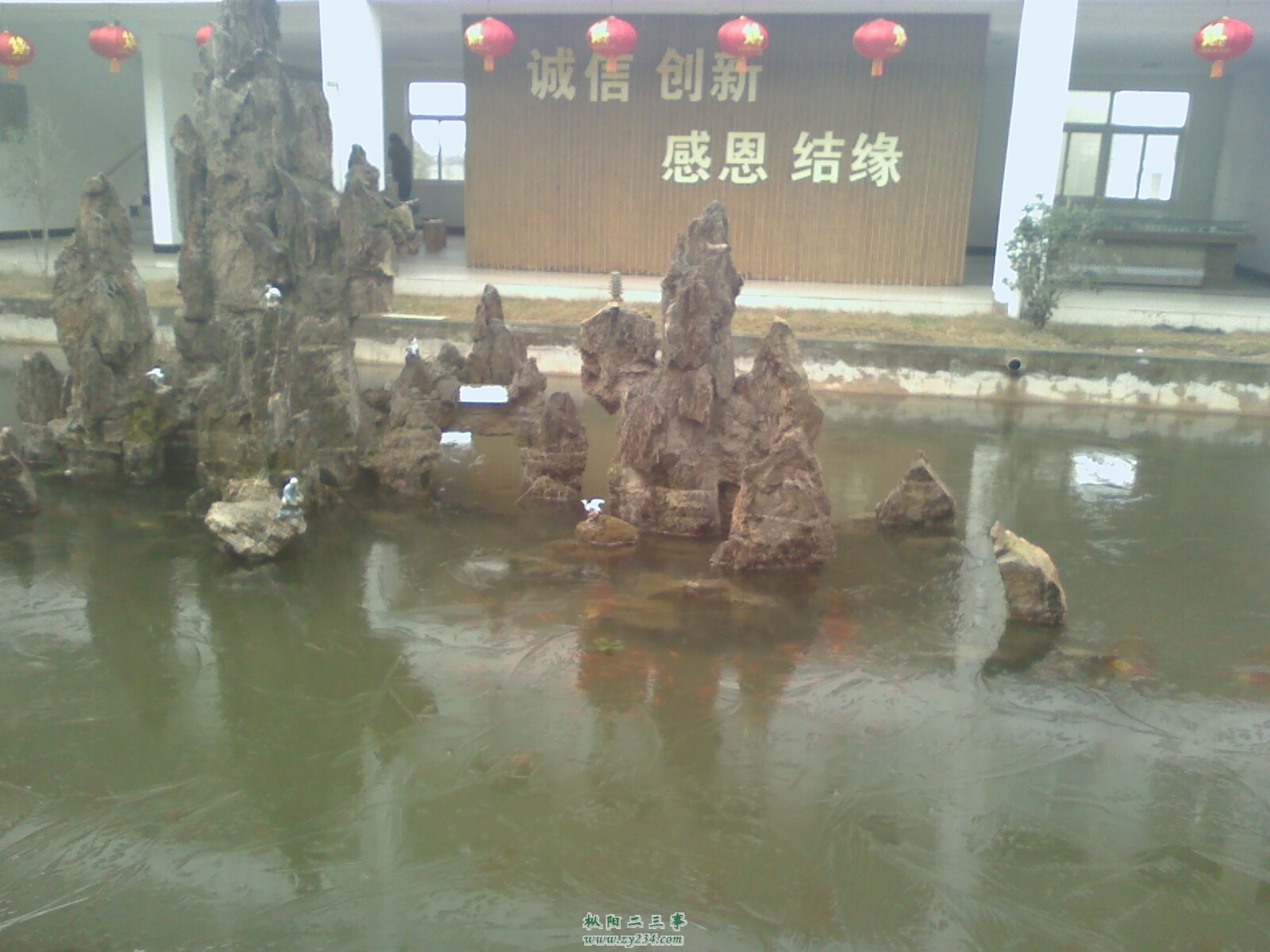 IMG0129093601.jpg
