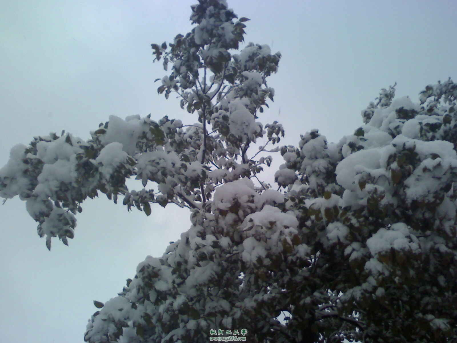 IMG0120103700.jpg