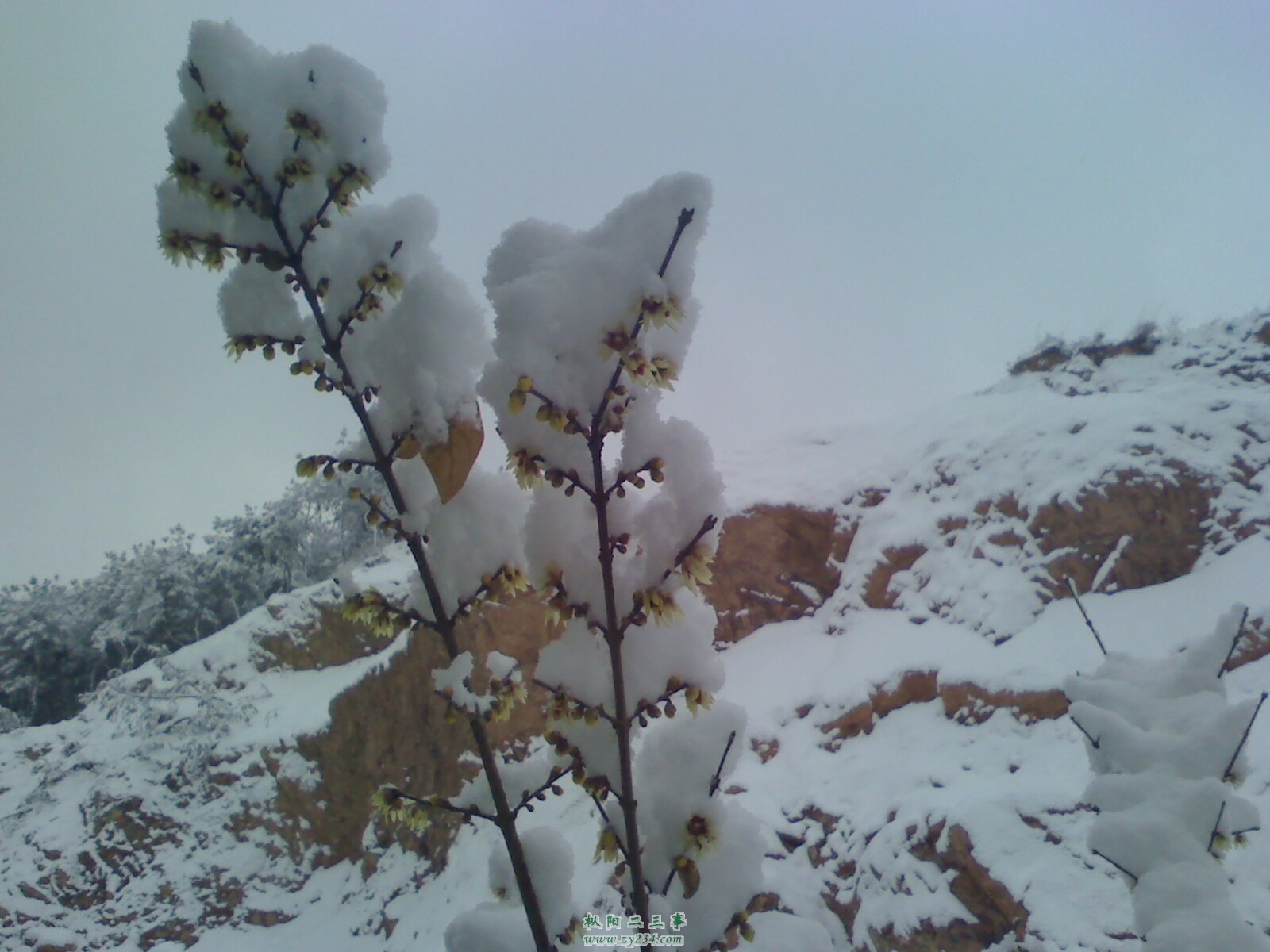 IMG0120103601.jpg