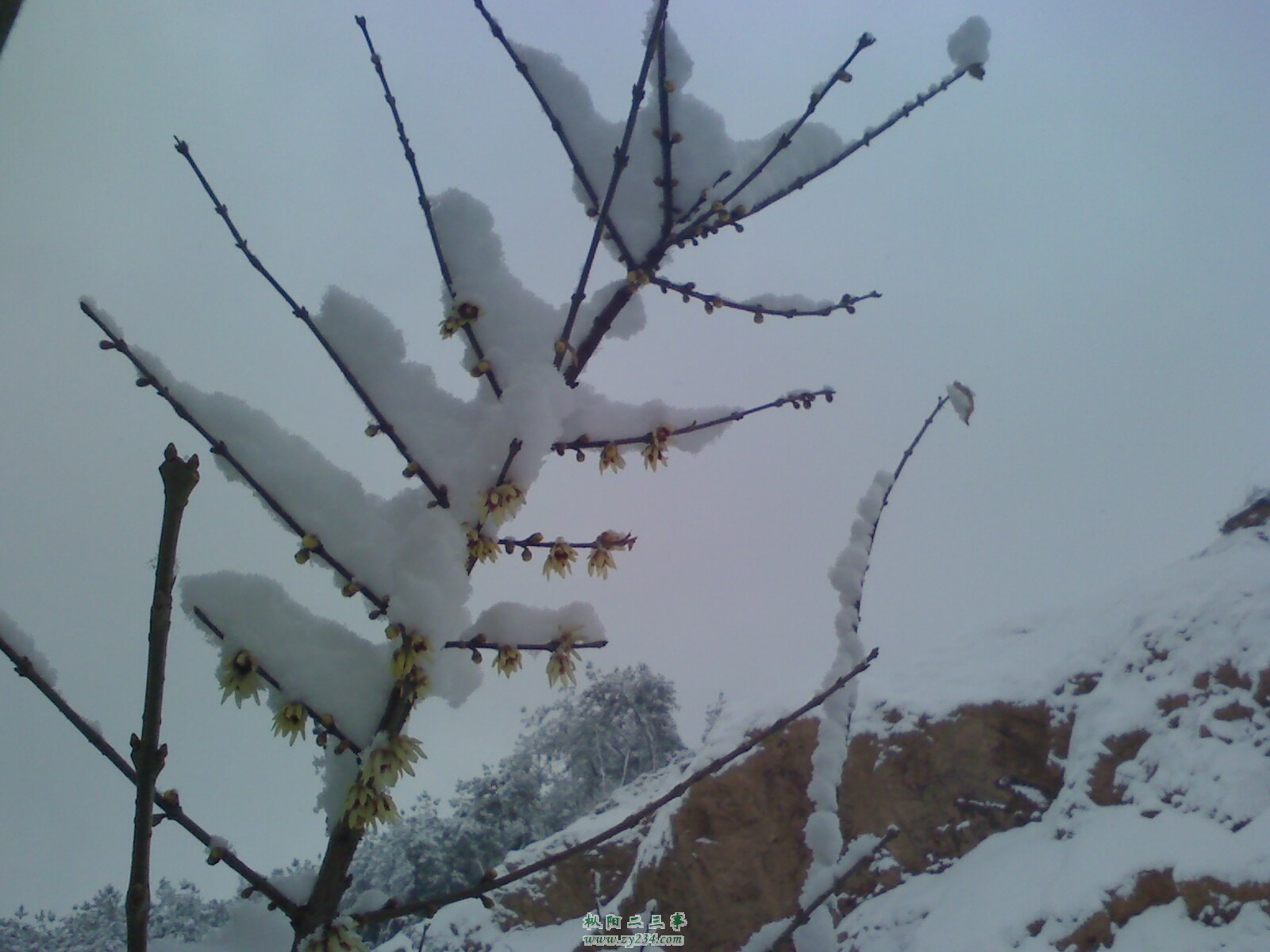 IMG0120103600.jpg