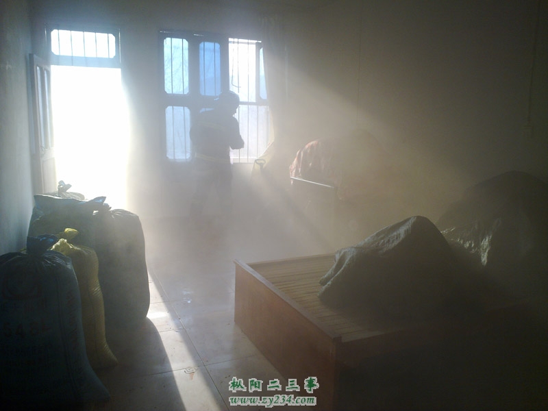 20110106251.jpg