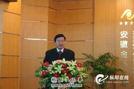 吴良仁发言