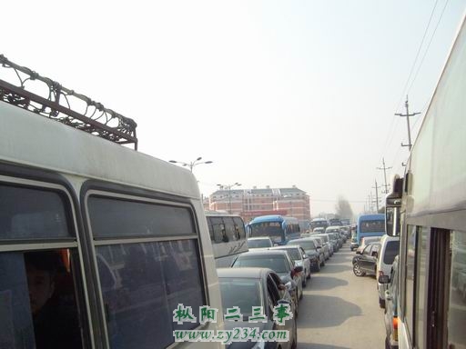 S7302067.JPG