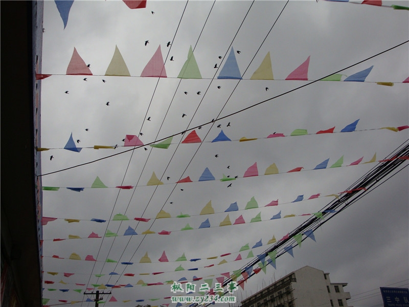 DSC00991_副本.jpg