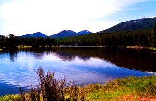 Pond.jpg