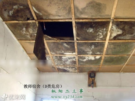 校色.jpg
