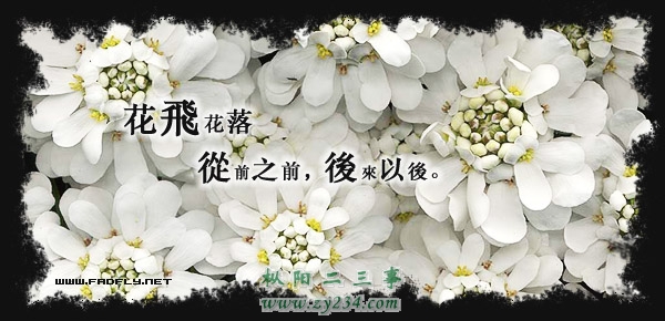 huamei.jpg
