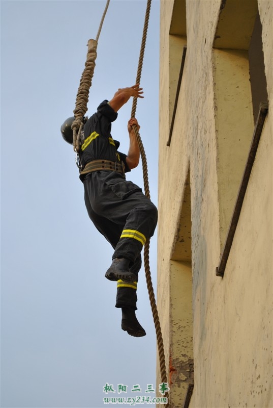 http_imgloadCA5L6L0231.jpg