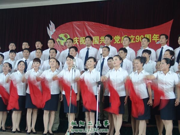 枞阳镇代表团：