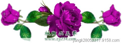 200902017921001.jpg