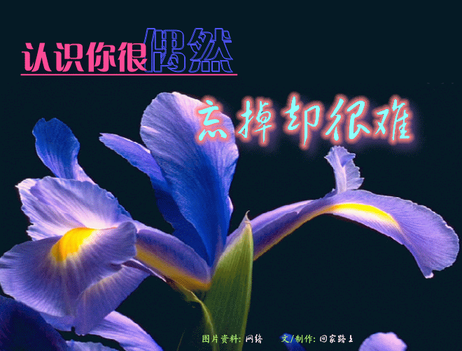 http_imgload.gif