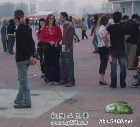 313074.jpg