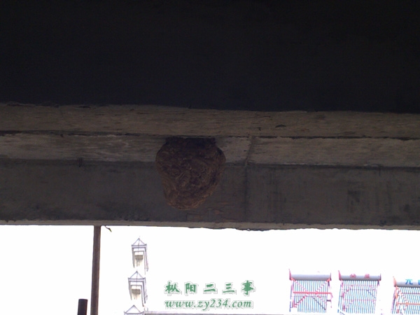 20110823849.JPG