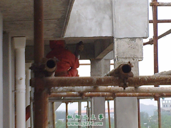 20110823852.JPG