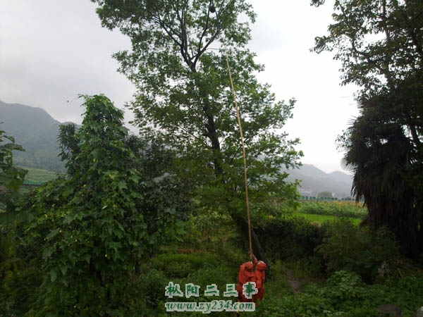 20110823862.JPG